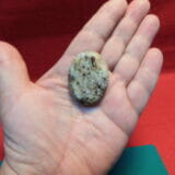 FOSSIL PALM WOOD CABOCHON