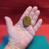 TEMPSKYA FOSSIL TREE FERN CABOCHON