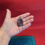 Texas Agate Cabochon Mounted