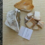 OPALIZED WOOD FROM TEXAS