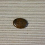 FOSSILIZED TEXAS PALM WOOD CABOCHON