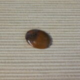 FOSSILIZED TEXAS PALM WOOD CABOCHON