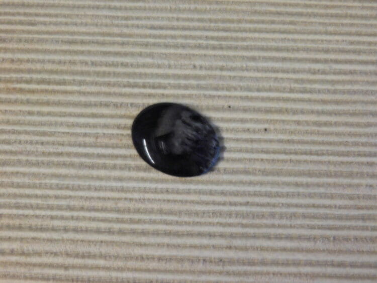 FOSSILIZED TEXAS PALM WOOD CABOCHON