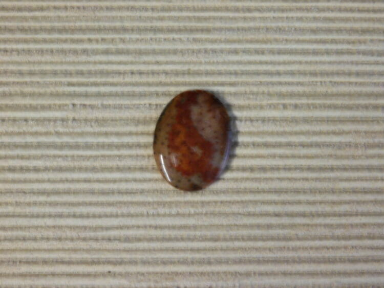 FOSSILIZED TEXAS PALM WOOD CABOCHON