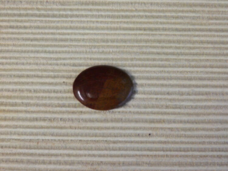 FOSSILIZED TEXAS PALM WOOD CABOCHON