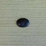 FOSSILIZED TEXAS PALM WOOD CABOCHON