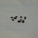 Red Garnet Gemstones