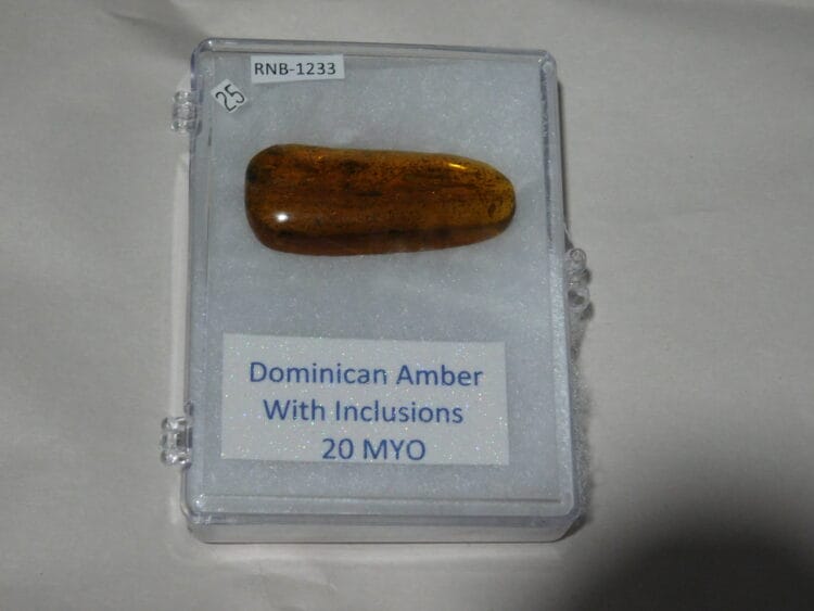 Dominican Amber with inclusions