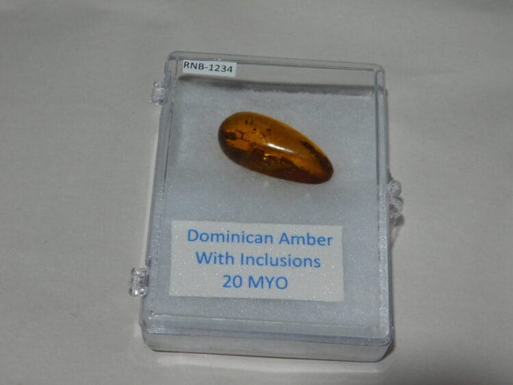 Dominican Amber with inclusions