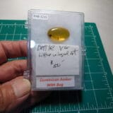 Dominican Amber with inclusions