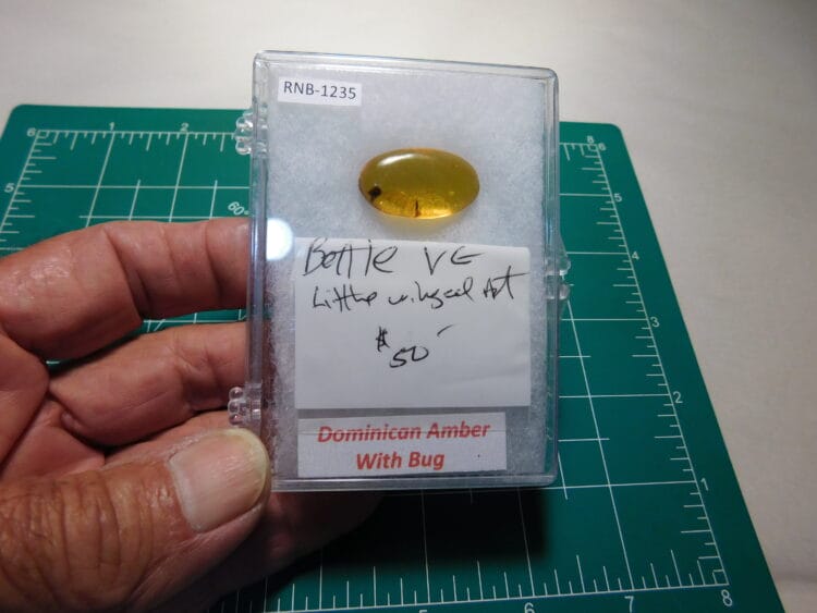 Dominican Amber with inclusions