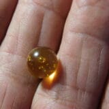 Dominican Amber with inclusions
