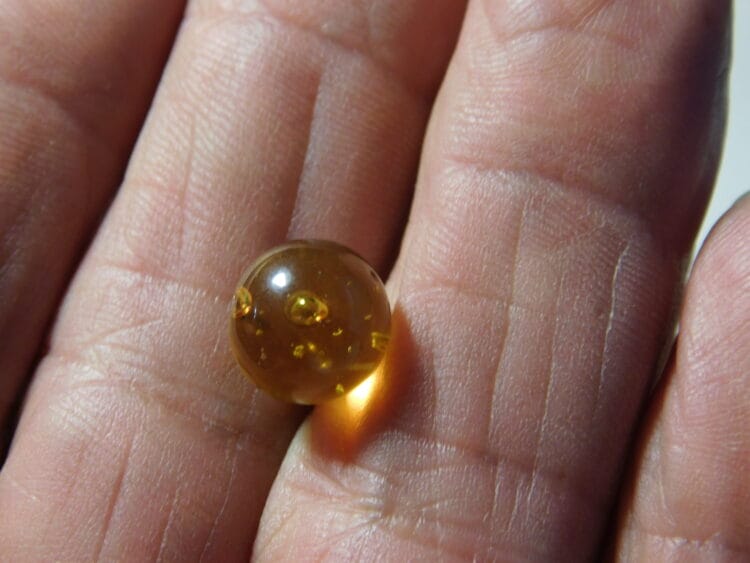 Dominican Amber with inclusions