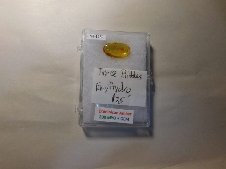 Dominican Amber with inclusions
