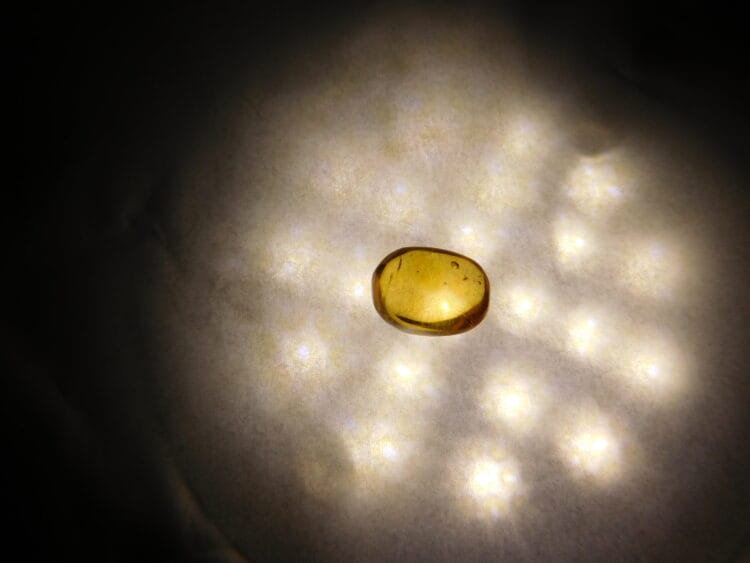 Dominican Amber with inclusions