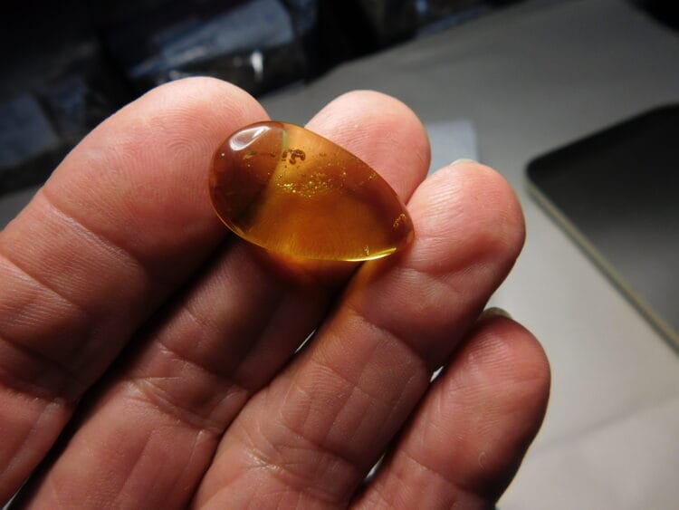 Dominican Amber with inclusions