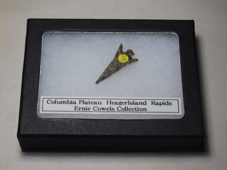 Authentic Columbia Plateau Projectile Point - COA included